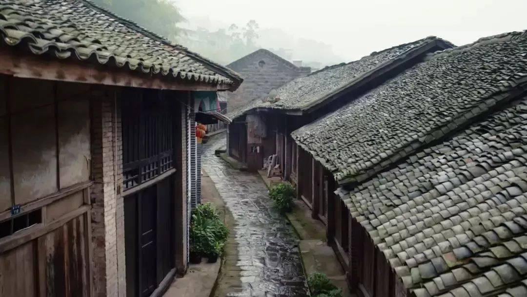 小脑萎缩会遗传吗？游戏画面